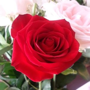 Meet your Posher, Christa